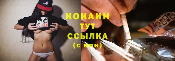 стафф Дмитровск