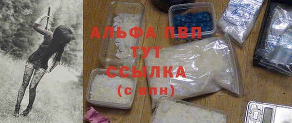 кокс Ельня