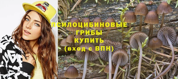 стафф Дмитров